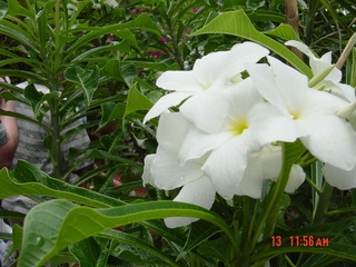 Filename=925.jpg
Filesize=762KiB
Dimensions=2048x1536
Date added=Sep 15, 2019 925.jpg