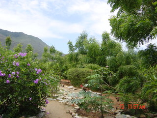 Filename=928.jpg
Filesize=795KiB
Dimensions=2048x1536
Date added=Sep 15, 2019 928.jpg