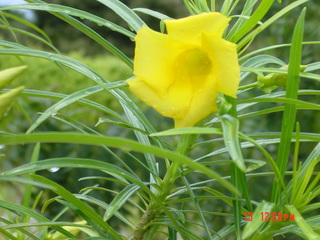 Filename=934.jpg
Filesize=813KiB
Dimensions=2048x1536
Date added=Sep 15, 2019 934.jpg