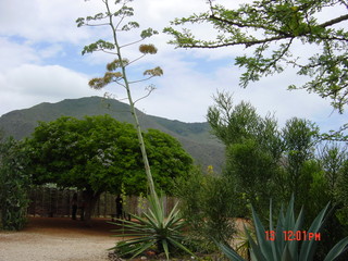 Filename=936.jpg
Filesize=794KiB
Dimensions=2048x1536
Date added=Sep 15, 2019 936.jpg