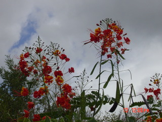 Filename=944.jpg
Filesize=791KiB
Dimensions=2048x1536
Date added=Sep 15, 2019 944.jpg