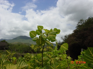 Filename=945.jpg
Filesize=814KiB
Dimensions=2048x1536
Date added=Sep 15, 2019 945.jpg