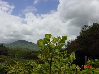 Filename=946.jpg
Filesize=808KiB
Dimensions=2048x1536
Date added=Sep 15, 2019 946.jpg