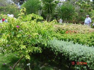 Filename=947.jpg
Filesize=797KiB
Dimensions=2048x1536
Date added=Sep 15, 2019 947.jpg