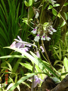 Filename=952.jpg
Filesize=1084KiB
Dimensions=1536x2048
Date added=Sep 15, 2019 952.jpg