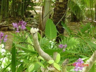 Filename=953.jpg
Filesize=826KiB
Dimensions=2048x1536
Date added=Sep 15, 2019 953.jpg