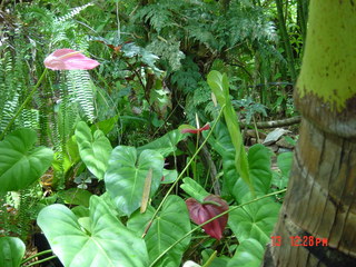 Filename=954.jpg
Filesize=807KiB
Dimensions=2048x1536
Date added=Sep 15, 2019 954.jpg