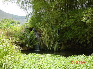 Filename=956.jpg
Filesize=795KiB
Dimensions=2048x1536
Date added=Sep 15, 2019 956.jpg