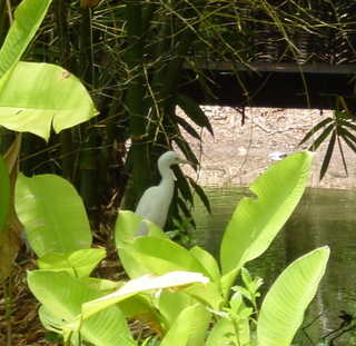 Filename=957.jpg
Filesize=598KiB
Dimensions=1494x1455
Date added=Sep 15, 2019 957.jpg