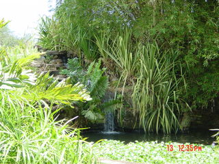 Filename=960.jpg
Filesize=795KiB
Dimensions=2048x1536
Date added=Sep 15, 2019 960.jpg