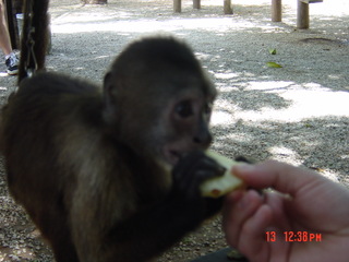 Filename=967.jpg
Filesize=777KiB
Dimensions=2048x1536
Date added=Sep 15, 2019 967.jpg