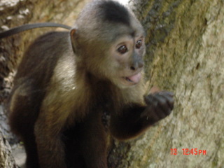 Filename=973.jpg
Filesize=794KiB
Dimensions=2048x1536
Date added=Sep 15, 2019 973.jpg