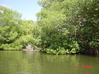 Filename=974.jpg
Filesize=803KiB
Dimensions=2048x1536
Date added=Sep 15, 2019 974.jpg