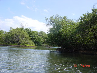 Filename=978.jpg
Filesize=785KiB
Dimensions=2048x1536
Date added=Sep 15, 2019 978.jpg