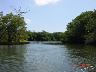 Filename=979.jpg
Filesize=792KiB
Dimensions=2048x1536
Date added=Sep 15, 2019 979.jpg