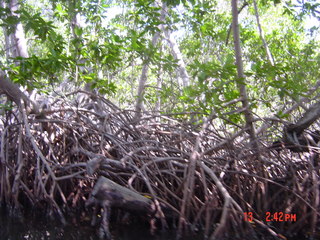 Filename=980.jpg
Filesize=813KiB
Dimensions=2048x1536
Date added=Sep 15, 2019 980.jpg