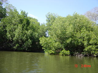 Filename=981.jpg
Filesize=809KiB
Dimensions=2048x1536
Date added=Sep 15, 2019 981.jpg