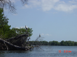 Filename=984.jpg
Filesize=798KiB
Dimensions=2048x1536
Date added=Sep 15, 2019 984.jpg