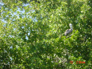 Filename=986.jpg
Filesize=819KiB
Dimensions=2048x1536
Date added=Sep 15, 2019 986.jpg