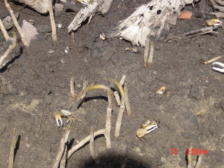 Filename=990.jpg
Filesize=811KiB
Dimensions=2048x1536
Date added=Sep 15, 2019 990.jpg