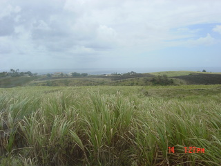 Filename=996.jpg
Filesize=807KiB
Dimensions=2048x1536
Date added=Sep 15, 2019 996.jpg