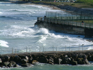 Filename=Cruise_Day_1-_045.jpg
Filesize=1262KiB
Dimensions=2048x1536
Date added=Sep 15, 2019 Cruise_Day_1-_045.jpg