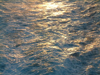 Filename=Cruise_Day_4_-Curacao-_045.jpg
Filesize=1240KiB
Dimensions=2048x1536
Date added=Sep 15, 2019 Cruise_Day_4_-Curacao-_045.jpg