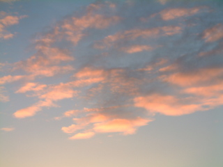 Filename=Cruise_Day_4_-Curacao-_058.jpg
Filesize=1180KiB
Dimensions=2048x1536
Date added=Sep 15, 2019 Cruise_Day_4_-Curacao-_058.jpg