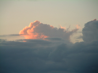 Filename=Cruise_Day_4_-Curacao-_066.jpg
Filesize=1175KiB
Dimensions=2048x1536
Date added=Sep 15, 2019 Cruise_Day_4_-Curacao-_066.jpg