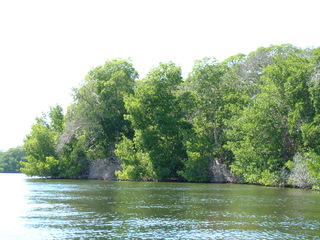 Filename=Cruise_Day_5_-Isla_Margarita-1_002.jpg
Filesize=1494KiB
Dimensions=2048x1536
Date added=Sep 15, 2019 Cruise_Day_5_-Isla_Margarita-1_002.jpg