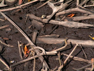 Filename=Cruise_Day_5_-Isla_Margarita-1_005.jpg
Filesize=1221KiB
Dimensions=2048x1536
Date added=Sep 15, 2019 Cruise_Day_5_-Isla_Margarita-1_005.jpg