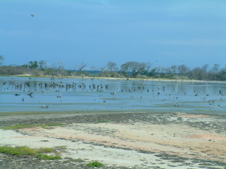 Filename=Cruise_Day_5_-Isla_Margarita-1_010.jpg
Filesize=1257KiB
Dimensions=2048x1536
Date added=Sep 15, 2019 Cruise_Day_5_-Isla_Margarita-1_010.jpg