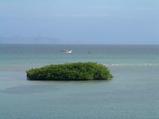 Filename=Cruise_Day_5_-Isla_Margarita-1_014.jpg
Filesize=1215KiB
Dimensions=2048x1536
Date added=Sep 15, 2019 Cruise_Day_5_-Isla_Margarita-1_014.jpg