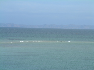 Filename=Cruise_Day_5_-Isla_Margarita-1_018.jpg
Filesize=1178KiB
Dimensions=2048x1536
Date added=Sep 15, 2019 Cruise_Day_5_-Isla_Margarita-1_018.jpg