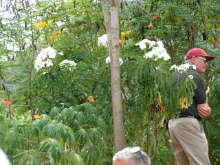 Filename=Cruise_Day_5_-Isla_Margarita-_015.jpg
Filesize=1250KiB
Dimensions=2048x1536
Date added=Sep 15, 2019 Cruise_Day_5_-Isla_Margarita-_015.jpg