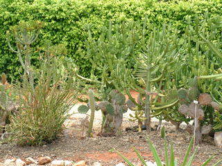 Filename=Cruise_Day_5_-Isla_Margarita-_027.jpg
Filesize=1240KiB
Dimensions=2048x1536
Date added=Sep 15, 2019 Cruise_Day_5_-Isla_Margarita-_027.jpg