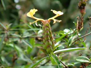 Filename=Cruise_Day_5_-Isla_Margarita-_034.jpg
Filesize=1247KiB
Dimensions=2048x1536
Date added=Sep 15, 2019 Cruise_Day_5_-Isla_Margarita-_034.jpg