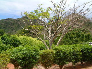 Filename=Cruise_Day_5_-Isla_Margarita-_037.jpg
Filesize=1253KiB
Dimensions=2048x1536
Date added=Sep 15, 2019 Cruise_Day_5_-Isla_Margarita-_037.jpg