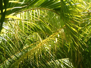 Filename=Cruise_Day_5_-Isla_Margarita-_040.jpg
Filesize=1257KiB
Dimensions=2048x1536
Date added=Sep 15, 2019 Cruise_Day_5_-Isla_Margarita-_040.jpg