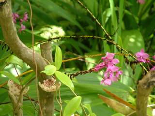 Filename=Cruise_Day_5_-Isla_Margarita-_042.jpg
Filesize=1243KiB
Dimensions=2048x1536
Date added=Sep 15, 2019 Cruise_Day_5_-Isla_Margarita-_042.jpg