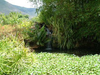 Filename=Cruise_Day_5_-Isla_Margarita-_044.jpg
Filesize=1231KiB
Dimensions=2048x1536
Date added=Sep 15, 2019 Cruise_Day_5_-Isla_Margarita-_044.jpg