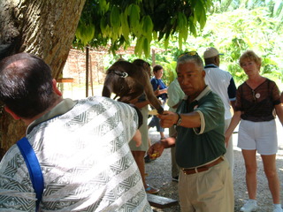 Filename=Cruise_Day_5_-Isla_Margarita-_052.jpg
Filesize=1274KiB
Dimensions=2048x1536
Date added=Sep 15, 2019 Cruise_Day_5_-Isla_Margarita-_052.jpg