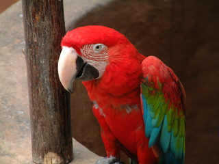 Filename=Cruise_Day_5_-Isla_Margarita-_058.jpg
Filesize=1240KiB
Dimensions=2048x1536
Date added=Sep 15, 2019 Cruise_Day_5_-Isla_Margarita-_058.jpg