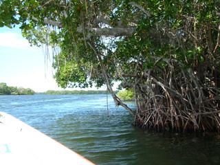 Filename=Cruise_Day_5_-Isla_Margarita-_064.jpg
Filesize=1333KiB
Dimensions=2048x1536
Date added=Sep 15, 2019 Cruise_Day_5_-Isla_Margarita-_064.jpg