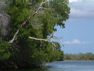 Filename=Cruise_Day_5_-Isla_Margarita-_069.jpg
Filesize=1257KiB
Dimensions=2048x1536
Date added=Sep 15, 2019 Cruise_Day_5_-Isla_Margarita-_069.jpg