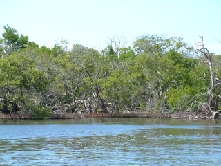 Filename=Cruise_Day_5_-Isla_Margarita-_072.jpg
Filesize=1347KiB
Dimensions=2048x1536
Date added=Sep 15, 2019 Cruise_Day_5_-Isla_Margarita-_072.jpg