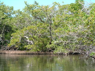 Filename=Cruise_Day_5_-Isla_Margarita-_073.jpg
Filesize=1236KiB
Dimensions=2048x1536
Date added=Sep 15, 2019 Cruise_Day_5_-Isla_Margarita-_073.jpg