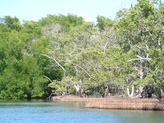 Filename=Cruise_Day_5_-Isla_Margarita-_075.jpg
Filesize=1281KiB
Dimensions=2048x1536
Date added=Sep 15, 2019 Cruise_Day_5_-Isla_Margarita-_075.jpg