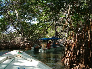 Filename=Cruise_Day_5_-Isla_Margarita-_077.jpg
Filesize=1253KiB
Dimensions=2048x1536
Date added=Sep 15, 2019 Cruise_Day_5_-Isla_Margarita-_077.jpg