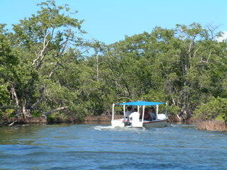 Filename=Cruise_Day_5_-Isla_Margarita-_080.jpg
Filesize=1250KiB
Dimensions=2048x1536
Date added=Sep 15, 2019 Cruise_Day_5_-Isla_Margarita-_080.jpg